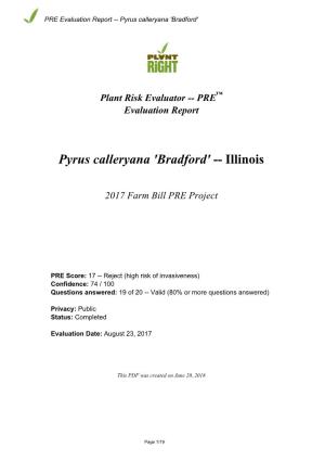 PRE Evaluation Report for Pyrus Calleryana 'Bradford'