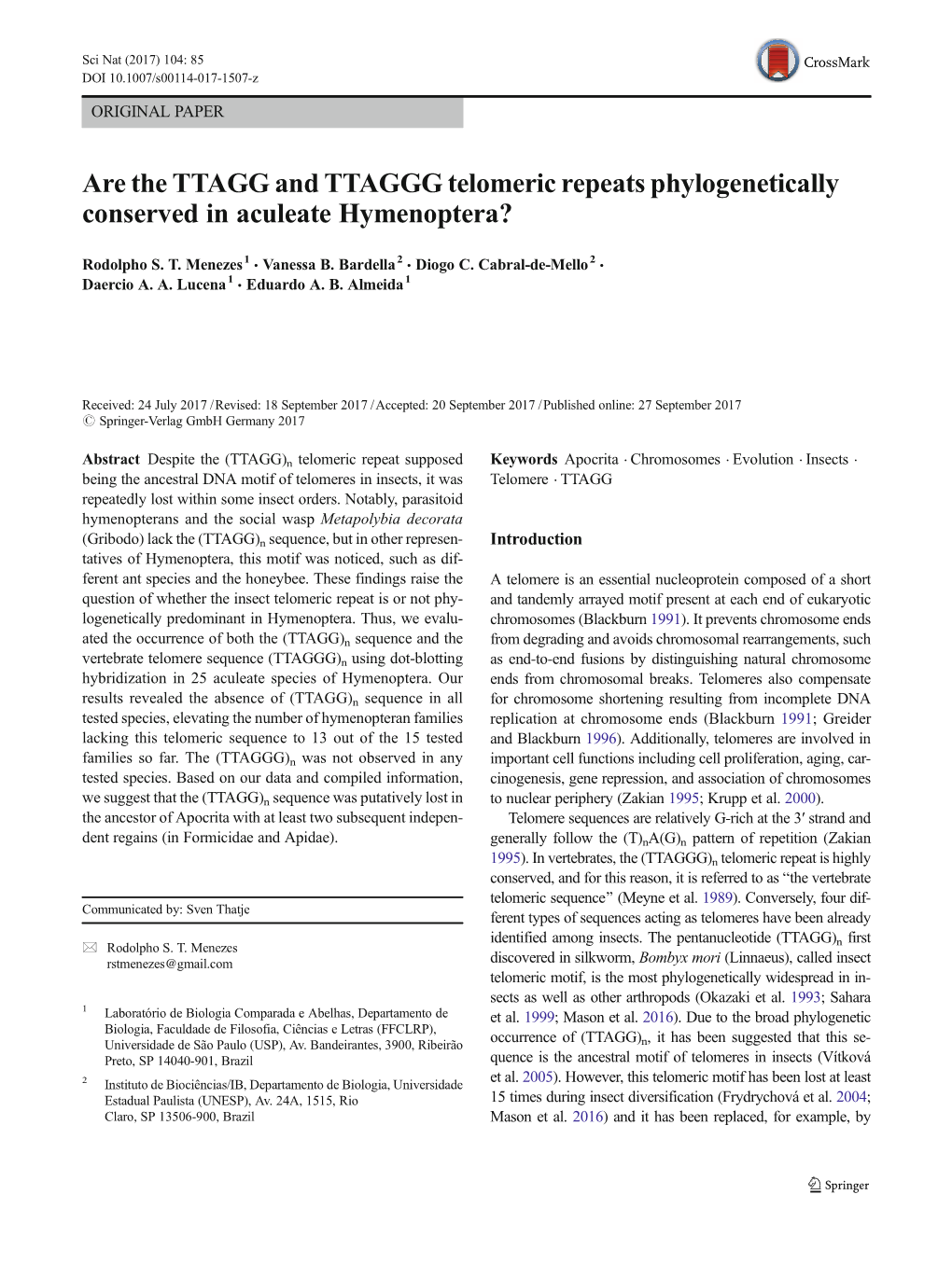 Are the TTAGG and TTAGGG Telomeric Repeats Phylogenetically Conserved in Aculeate Hymenoptera?
