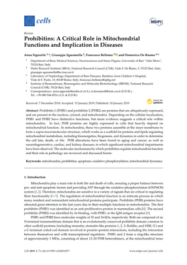 Prohibitins: a Critical Role in Mitochondrial Functions and Implication in Diseases