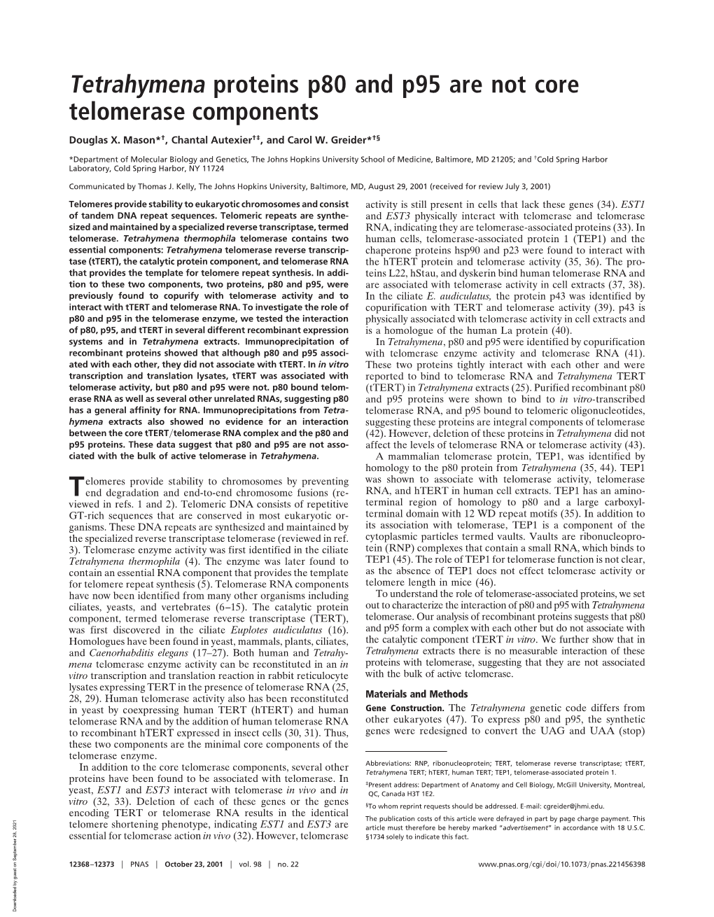 Tetrahymena Proteins P80 and P95 Are Not Core Telomerase Components