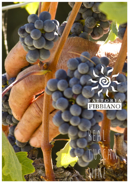 Presentazione Fibbiano Winesito