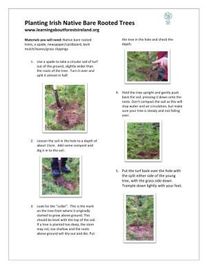 Planting Irish Native Bare Rooted Trees