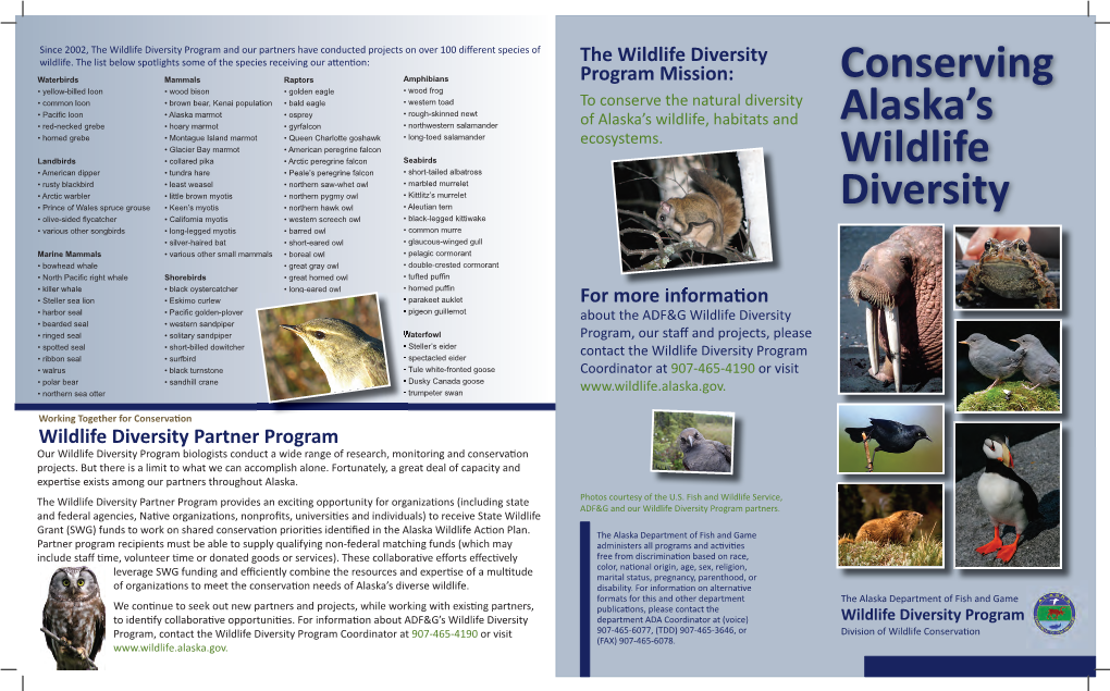 Wildlife Diversity Brochure