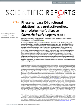 Phospholipase D Functional Ablation Has a Protective Effect in An