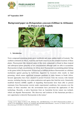 Background Paper on Dichapetalum Cymosum (Gifblaar in Afrikaans) & (Poison Leaf in English)
