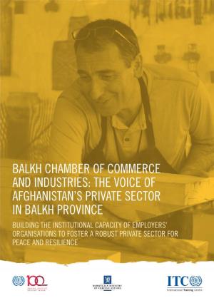 The Voice of Afghanistan's Private Sector in Balkh