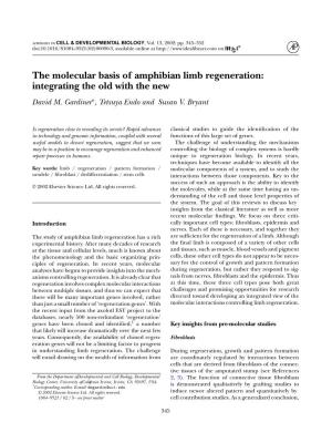 The Molecular Basis of Amphibian Limb Regeneration: Integrating the Old with the New David M