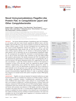 Novel Immunomodulatory Flagellin-Like Protein Flac in Campylobacter Jejuni and Other Campylobacterales
