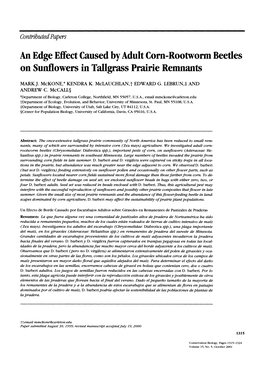 An Edge Effect Caused by Adult Corn-Rootworm Beetles on Sunflowers in Tallgrass Prairie Remnants