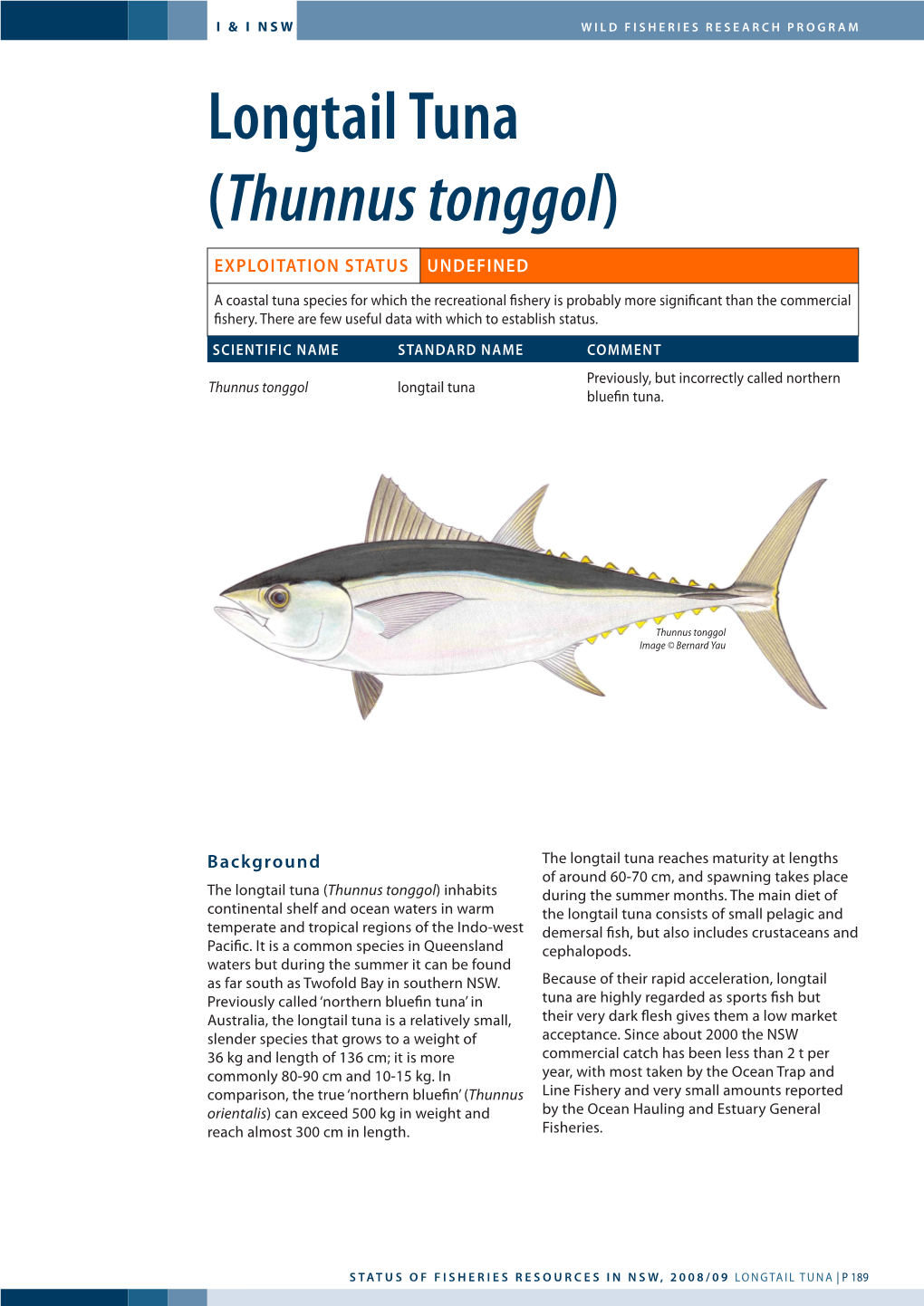 Longtail Tuna (Thunnus Tonggol)