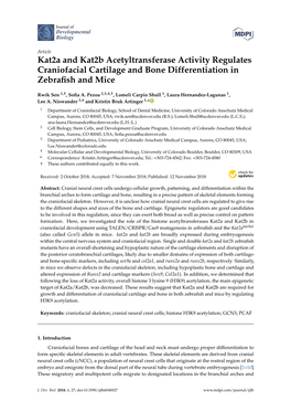 Kat2a and Kat2b Acetyltransferase Activity Regulates Craniofacial Cartilage and Bone Differentiation in Zebraﬁsh and Mice