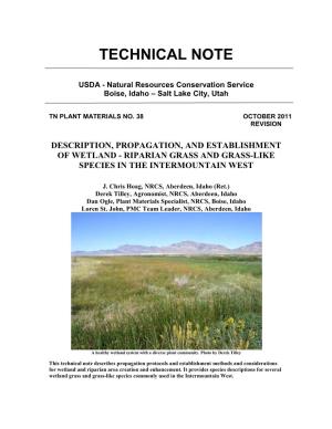 Technical Note 38: Description, Propagation, and Establishment of Wetland-Riparian Grass and Grass-Like Species Of