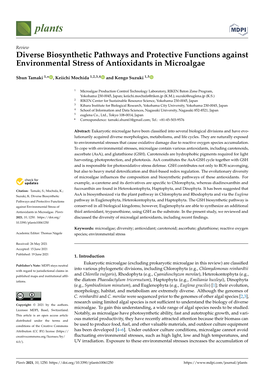 Diverse Biosynthetic Pathways and Protective Functions Against Environmental Stress of Antioxidants in Microalgae