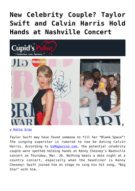New Celebrity Couple? Taylor Swift and Calvin Harris Hold Hands at Nashville Concert