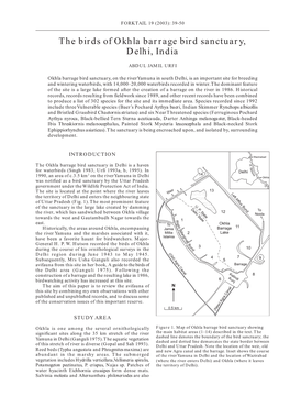 The Birds of Okhla Barrage Bird Sanctuary, Delhi, India
