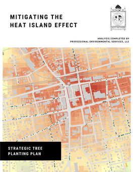 Mitigating the Heat Island Effect