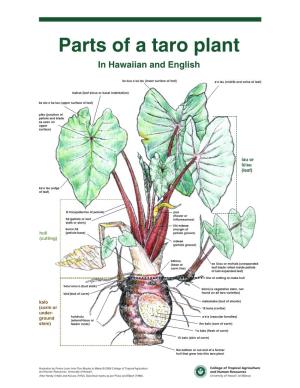 Parts of the Kalo (Taro) Plant in Hawaiian and English