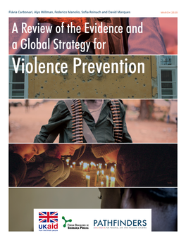 Review of Evidence and Global Strategy for Violence Prevention