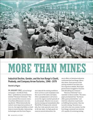 More Than Mines Industrial Decline, Gender, and the Iron Range's Cluett
