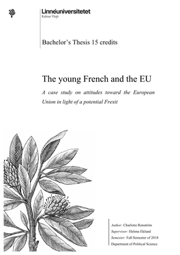 The Young French and the EU