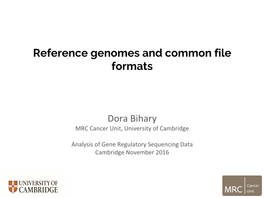 Reference Genomes and Common File Formats Overview