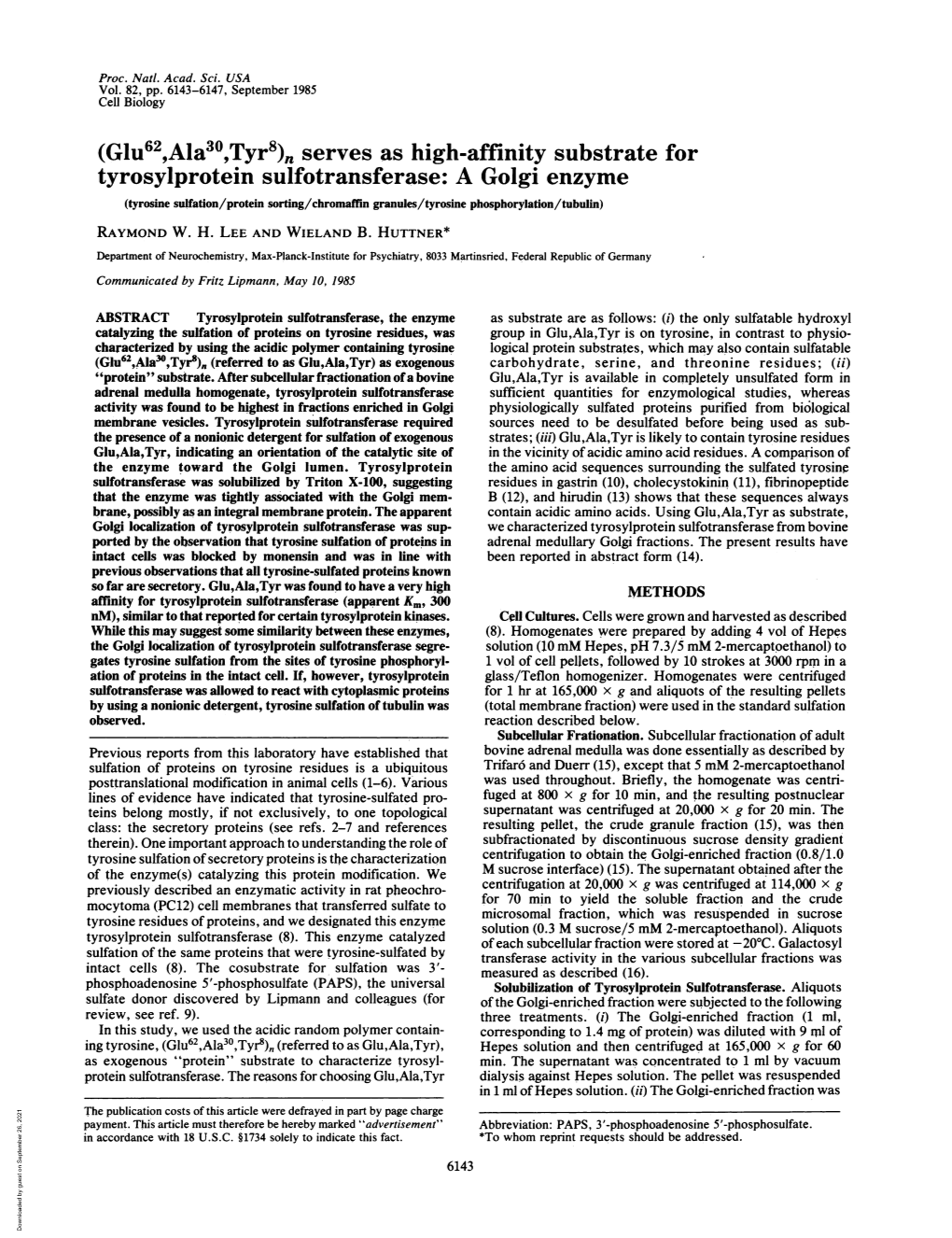 Serves As High-Affinity Substrate for Tyrosylprotein Sulfotransferase