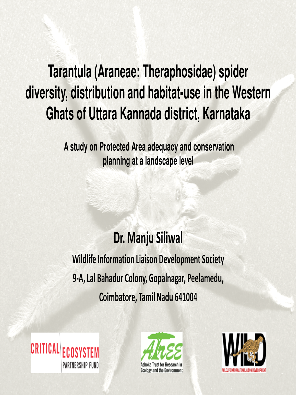 Tarantula (Araneae: Theraphosidae) Spider Diversity, Distribution and Habitat-Use in the Western Ghats of Uttara Kannada District, Karnataka