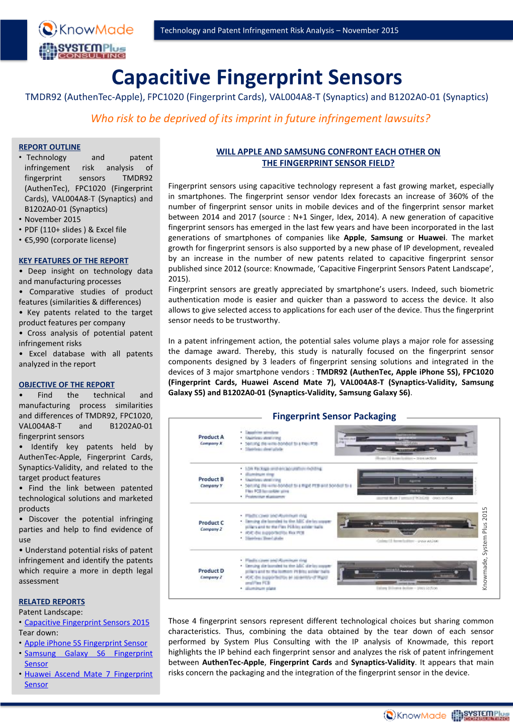 Capacitive Fingerprint Sensors