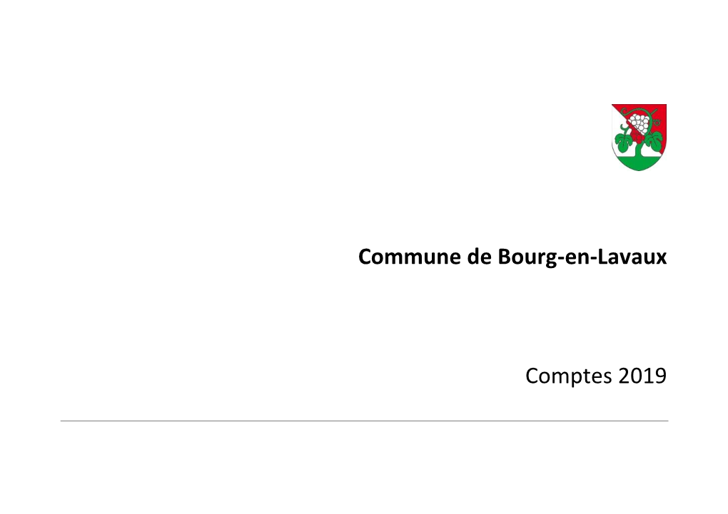 Commune De Bourg-En-Lavaux Comptes 2019