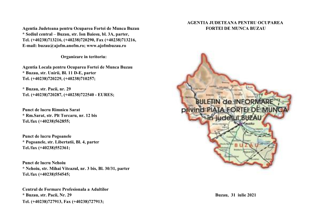 Buletin Informativ Statistic