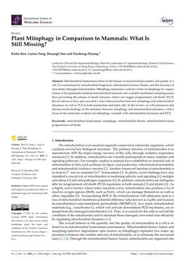 Plant Mitophagy in Comparison to Mammals: What Is Still Missing?