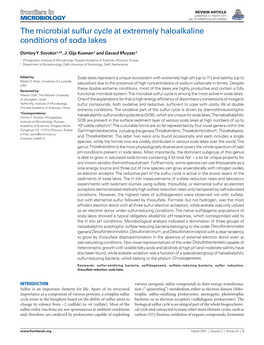 The Microbial Sulfur Cycle at Extremely Haloalkaline Conditions of Soda Lakes