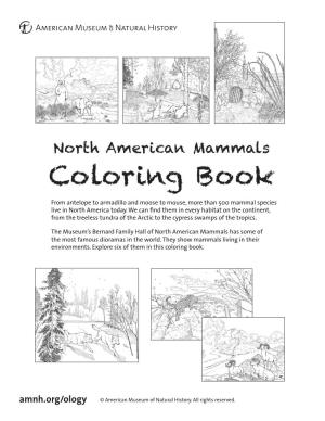 North American Mammals Coloring Book from Antelope to Armadillo and Moose to Mouse, More Than 500 Mammal Species Live in North America Today