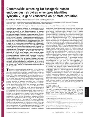 Genomewide Screening for Fusogenic Human Endogenous Retrovirus Envelopes Identifies Syncytin 2, a Gene Conserved on Primate Evolution