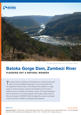 Batoka Gorge Dam, Zambezi River FLOODING out a NATURAL WONDER