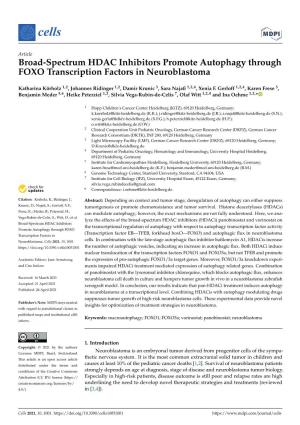 Broad-Spectrum HDAC Inhibitors Promote Autophagy Through FOXO Transcription Factors in Neuroblastoma
