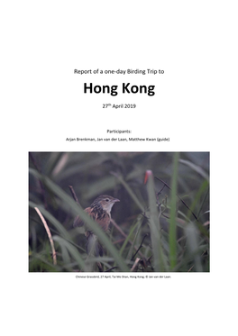 Bird Report of a Short Trip in Hong Kong