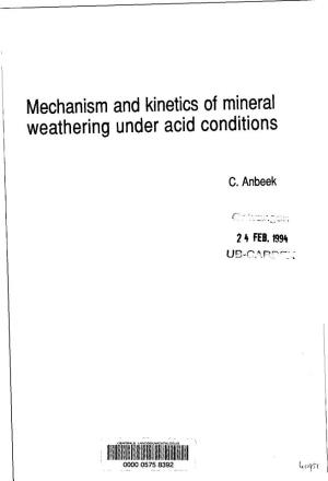 Mechanism and Kinetics of Mineral Weathering Under Acid Conditions