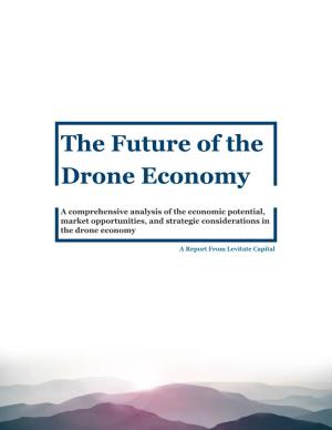 The Future of the Drone Economy