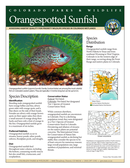 Orangespotted Sunfish ASSESSING HABITAT QUALITY for PRIORITY WILDLIFE SPECIES in COLORADO WETLANDS