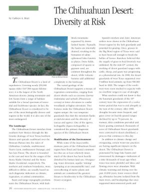 The Chihuahuan Desert: Diversity at Risk