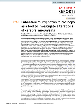 Label-Free Multiphoton Microscopy As a Tool to Investigate Alterations Of