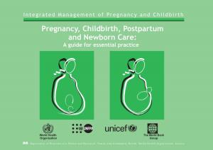 Pregnancy, Childbirth, Postpartum and Newborn Care: a Guide for Essential Practice