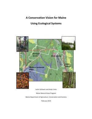A Conservation Vision for Maine Using Ecological Systems