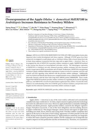 Mderf100 in Arabidopsis Increases Resistance to Powdery Mildew