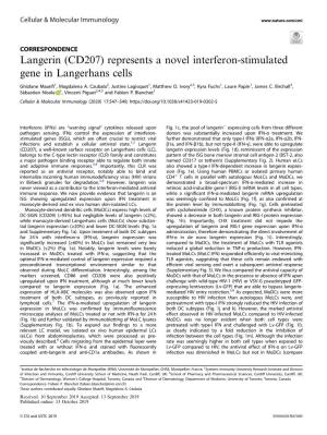 Langerin (CD207) Represents a Novel Interferon-Stimulated Gene in Langerhans Cells