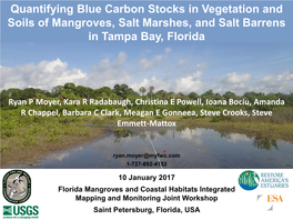 Quantifying Blue Carbon Stocks in Vegetation and Soils of Mangroves, Salt Marshes, and Salt Barrens in Tampa Bay, Florida