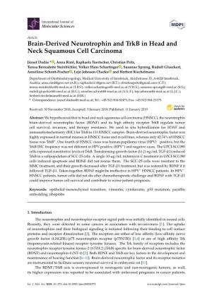 Brain-Derived Neurotrophin and Trkb in Head and Neck Squamous Cell Carcinoma