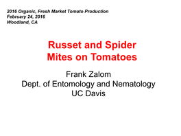 Russet and Spider Mites on Tomatoes
