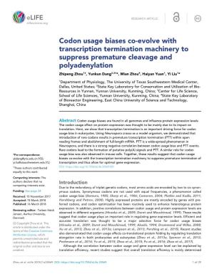 Codon Usage Biases Co-Evolve with Transcription Termination Machinery